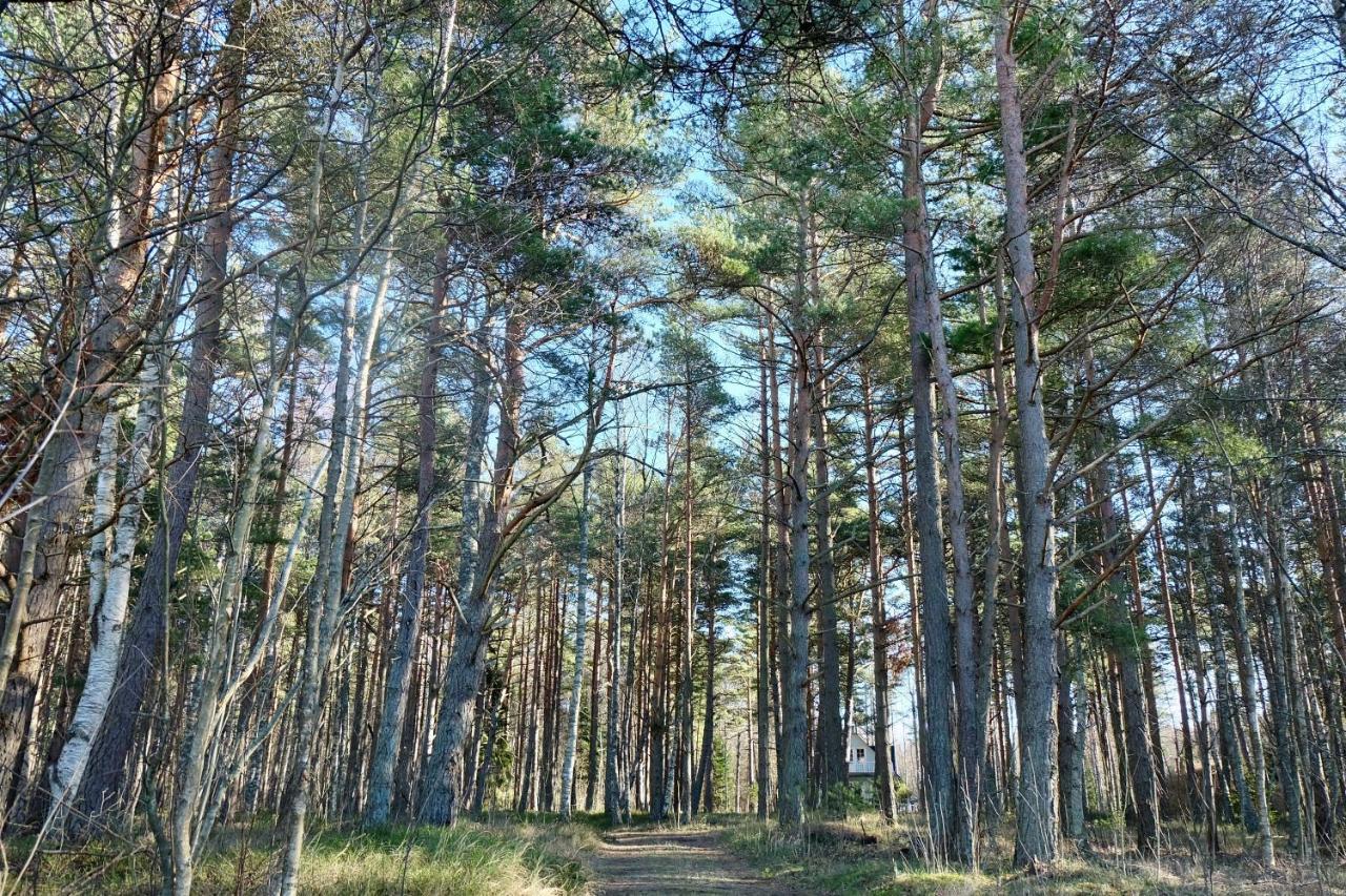 Tahkuna Puhkekeskus Hiiumaa Zewnętrze zdjęcie